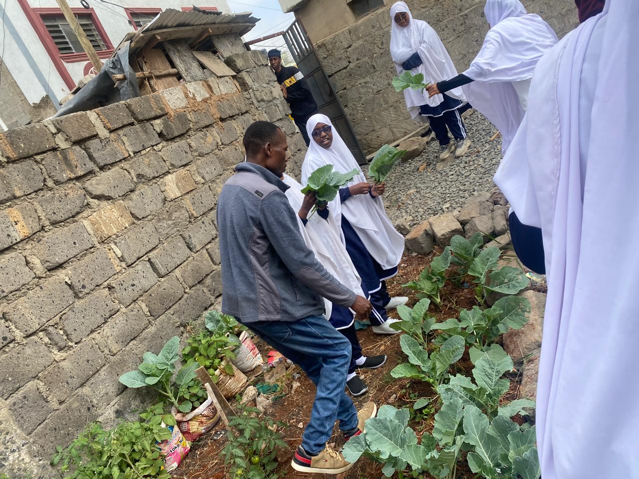 Learners picking greens in the school garden